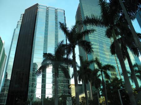Glass Buildings and Palm Trees - Free Stock Photo