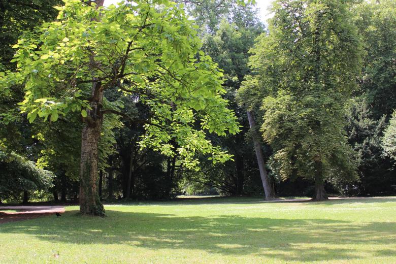 Free stock image of Green Garden created by Hassan Yahya Alali