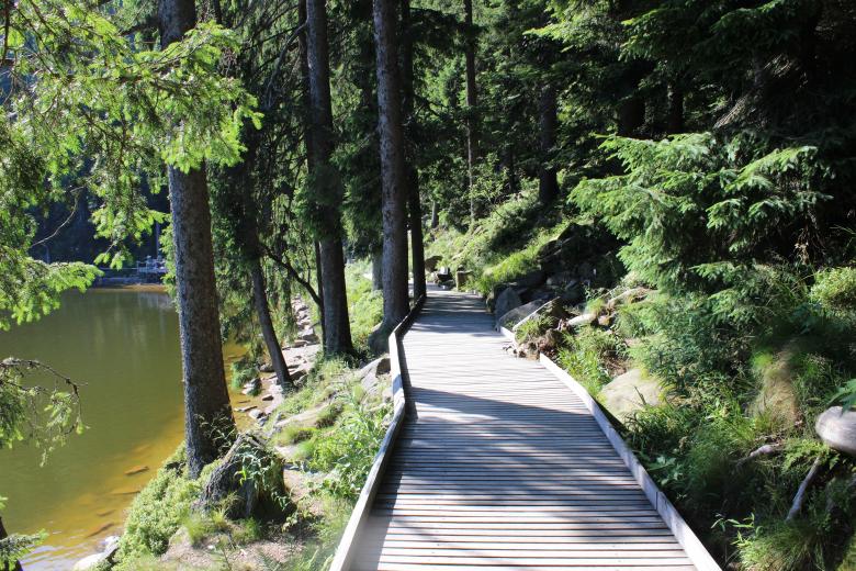 Free stock image of Road lake trees created by Hassan Yahya Alali