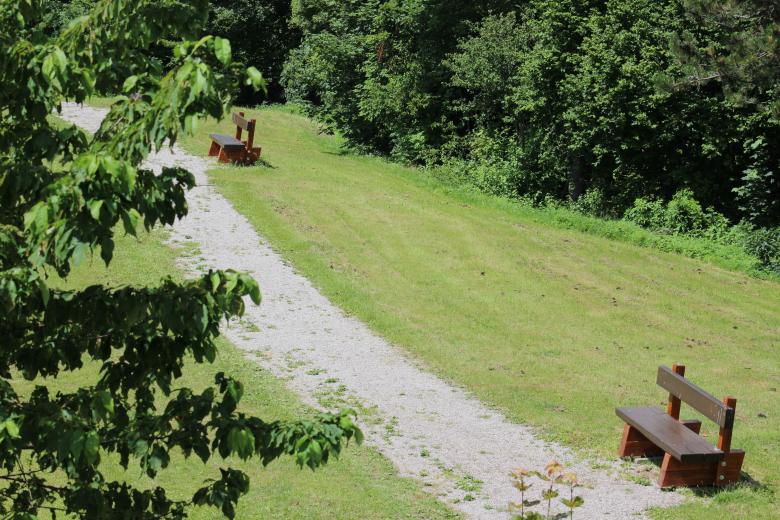 Free stock image of Garden Path with Benches created by Hassan Yahya Alali