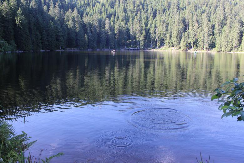 Free stock image of The Lake created by Hassan Yahya Alali
