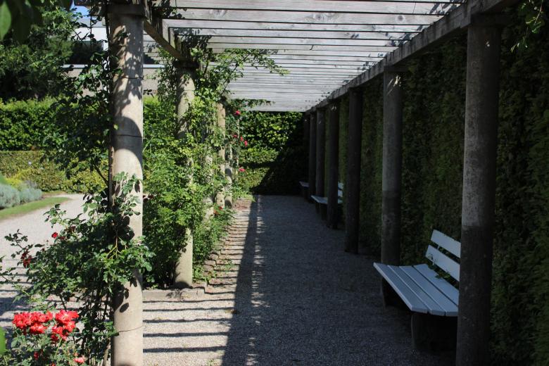 Free stock image of The Garden created by Hassan Yahya Alali