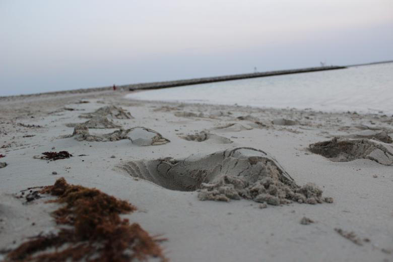 Free stock image of Sea Sand created by Hassan Yahya Alali