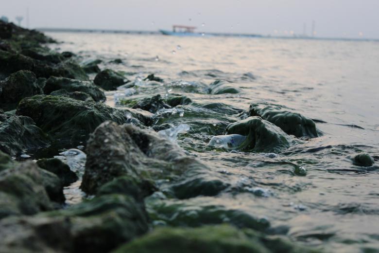 Free stock image of Calm Waves created by Hassan Yahya Alali