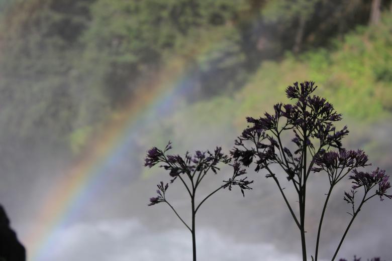 Free stock image of View of a Rainbow created by Hassan Yahya Alali