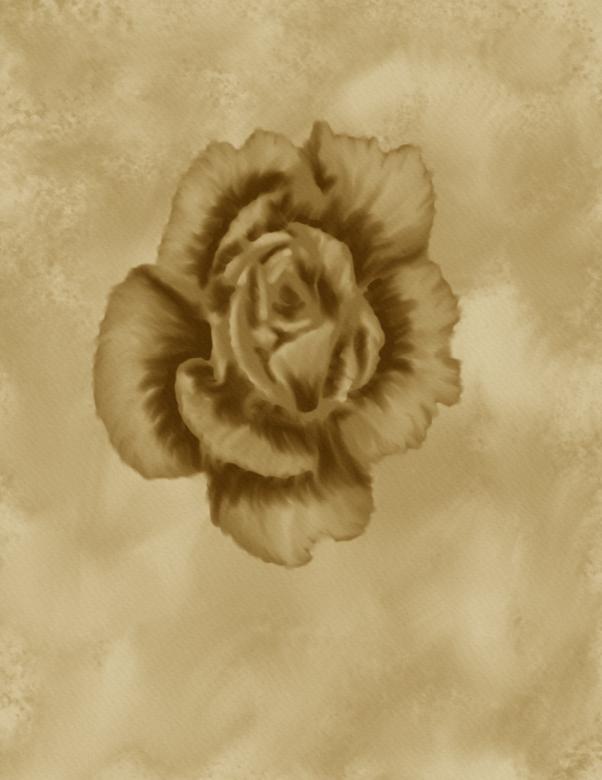 Free stock image of  Antique Rose created by George Cuda