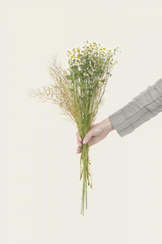 Free stock image of Flower bouquet created by Ivan Boyko