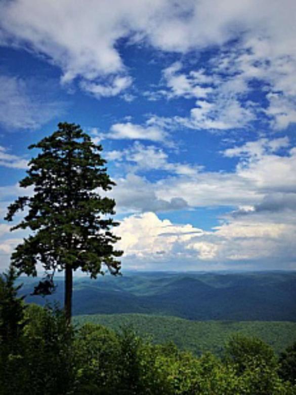 Free stock image of This View created by Nature Girl