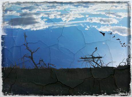 Flying - Free Stock Photo