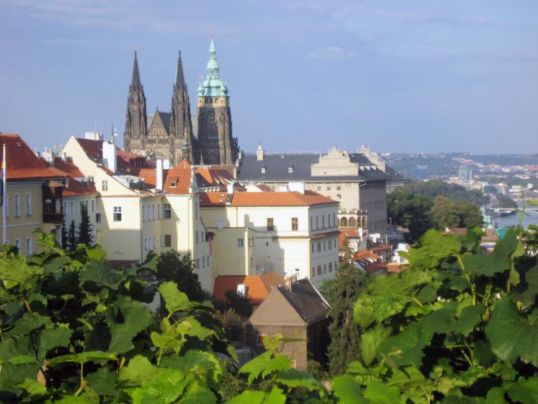 Free stock image of Castles and Churches created by VIJOY M ALEXANDER