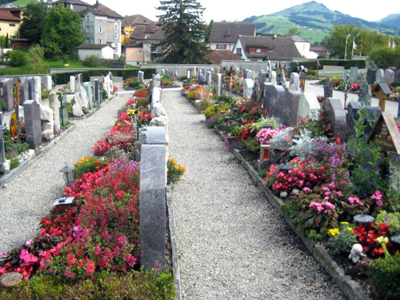 Free stock image of Swill Cemetery created by VIJOY M ALEXANDER