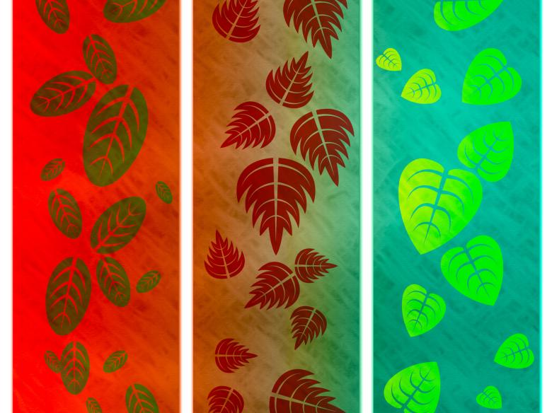 Free stock image of Floral Nature Represents Outdoors Template And Bloom created by Stuart Miles