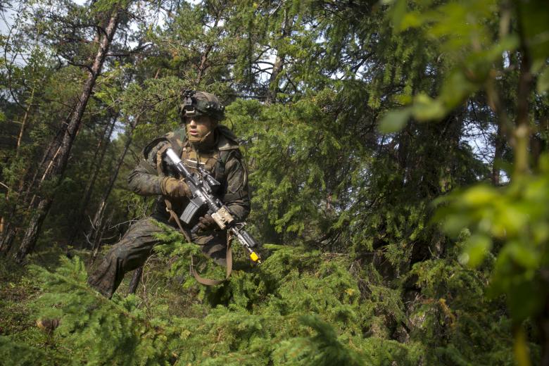 Free stock image of Marines Training in Forest created by StockMix
