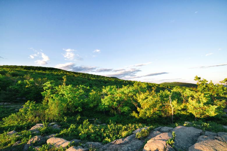 Free stock image of Tree on the mountain created by tosovisal