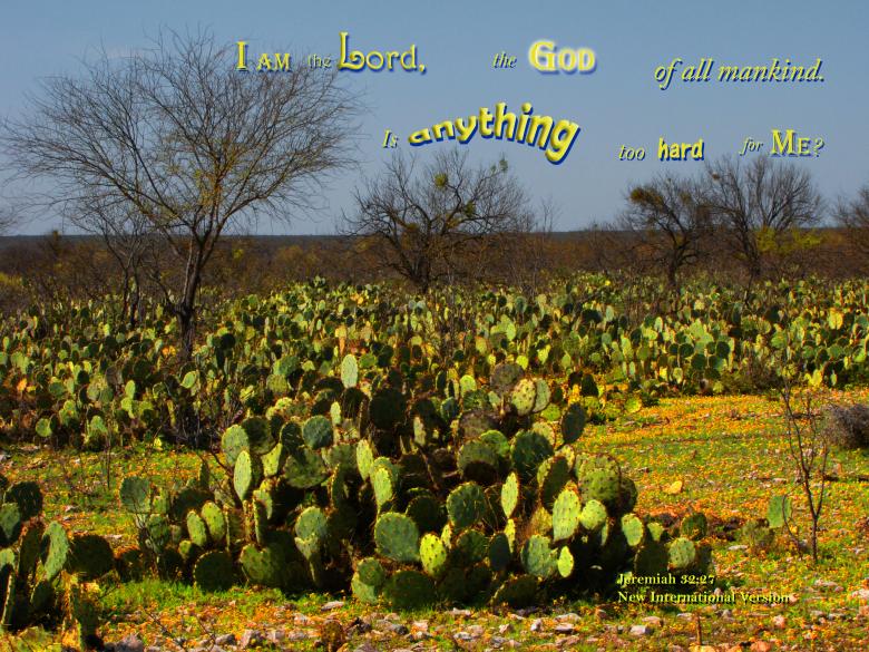 Free stock image of God Can Do Anything created by DFNatureAwed