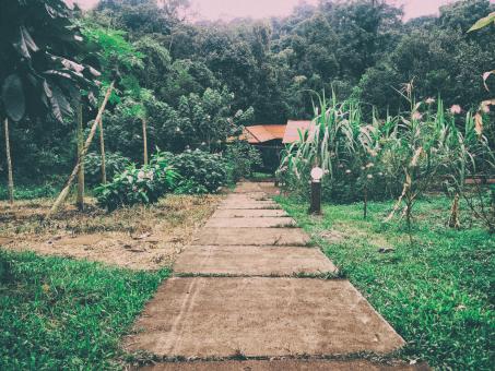 Roadside in Mondulkiri Cambodia - Free Stock Photo