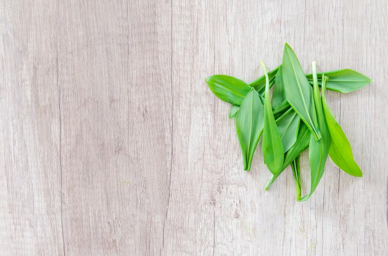 Free stock image of Fresh Bear Garlic on Wooden Table created by Lukas