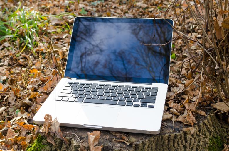 Free stock image of Laptop in Forest - Nature Concept created by Lukas