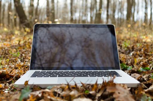 Notebook on the Forest Floor - Free Stock Photo