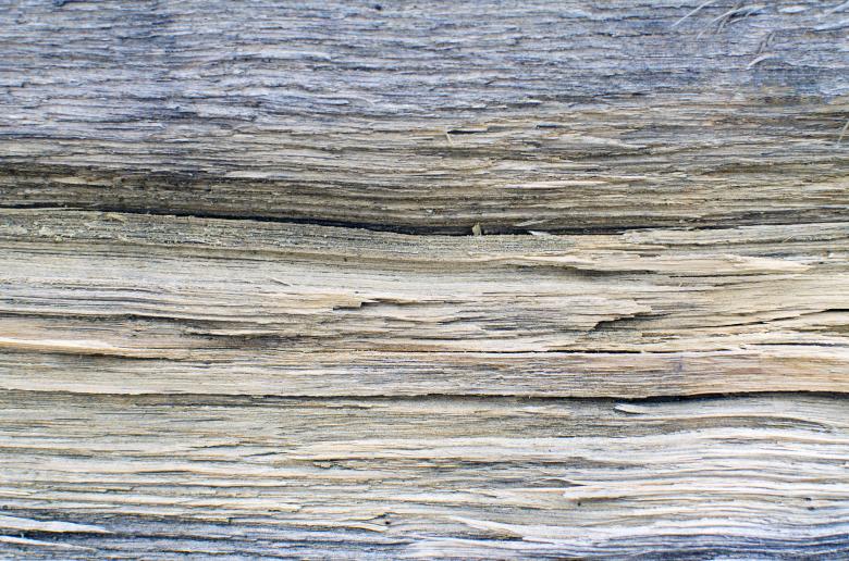 Free stock image of Old Timber Surface created by Lukas