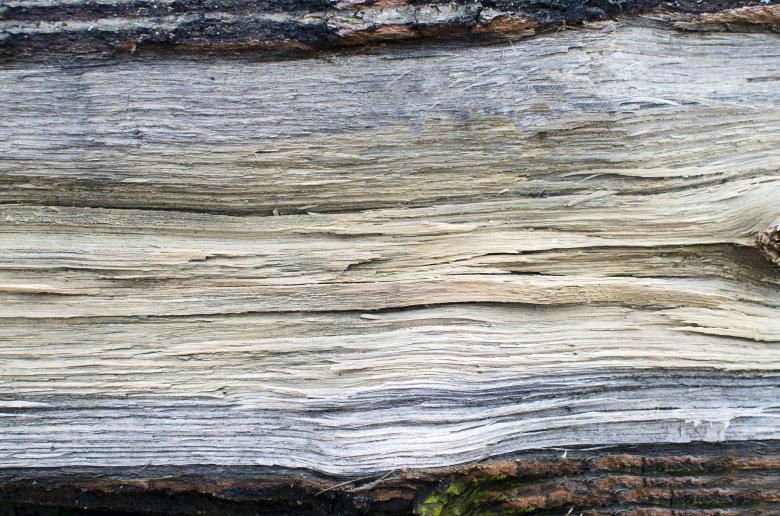Free stock image of Old Dry Timber Texture created by Lukas