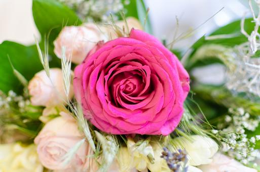Pink Rose in Wedding Bouquet