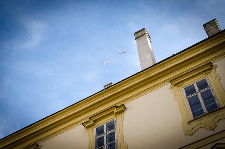 Free stock image of Rooftop with Chimney created by Lukas