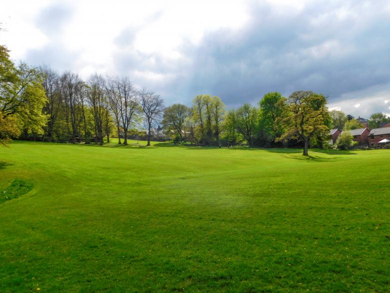 Free stock image of Park landscape before Storm created by Barbara Pajak