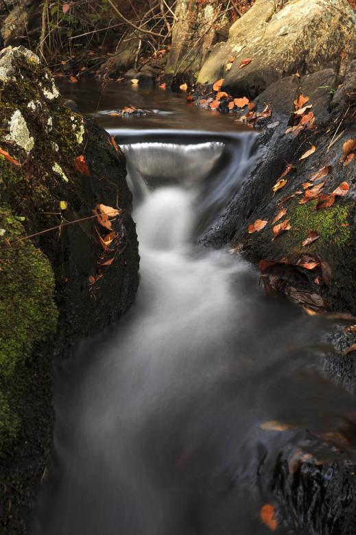 Free stock image of Peaceful Autumn Stream created by Geoffrey Whiteway