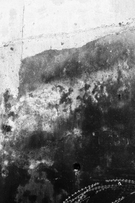 Free stock image of Grunge Wall Surface Texture created by Free Texture Friday