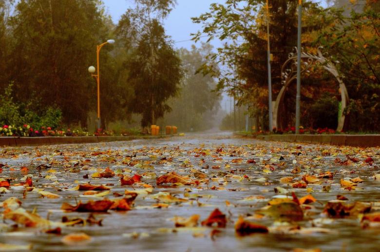 Free stock image of Autumn in the park created by Katerina