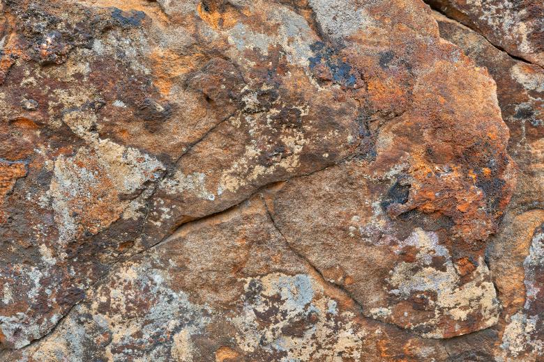 Free stock image of Petrified Kelpie created by Nicolas Raymond