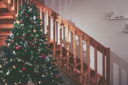Free Stock Photo of Christmas Tree