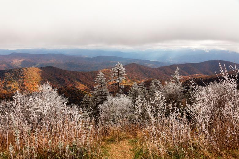 Free stock image of Frosted Autumn Smoky Mountains created by Nicolas Raymond