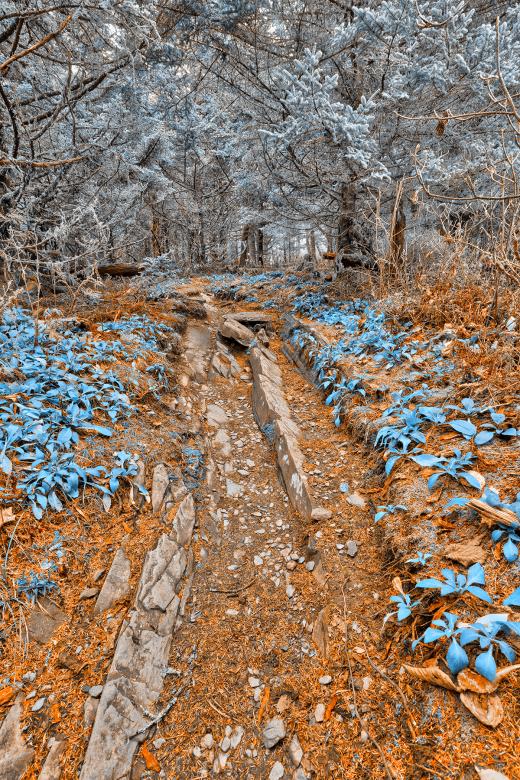 Free stock image of Frozen Appalachian Trail created by Nicolas Raymond