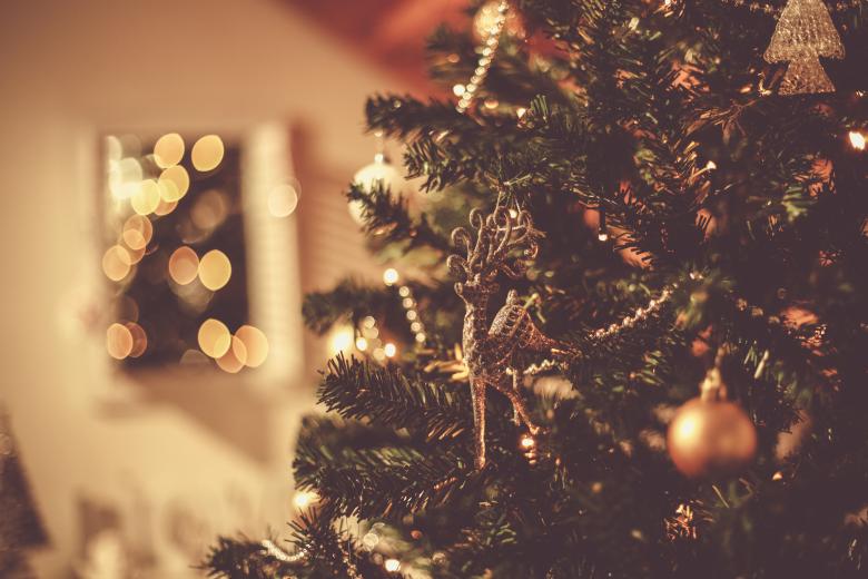 Free stock image of Christmas Tree with Lights and Ornaments created by Bjorgvin