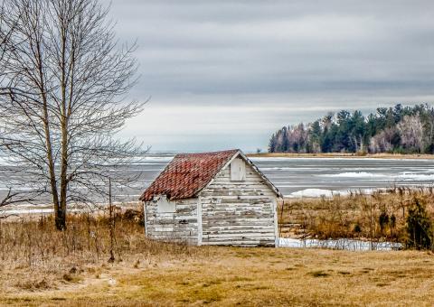 Old White Shed - Free Stock Photo