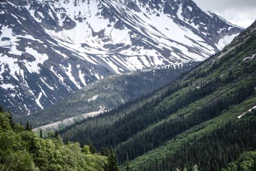Free Stock Photo of Snow in Mountains - Green Hills