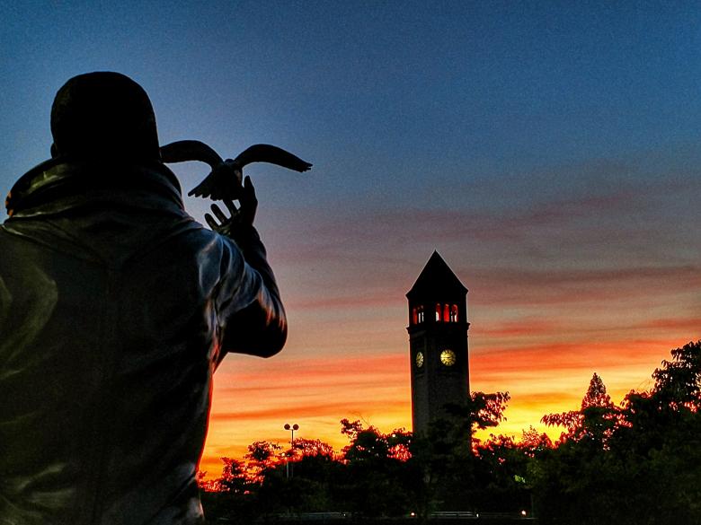 Free stock image of Man Releasing Bird at Spokane Washington created by agphotostock.com