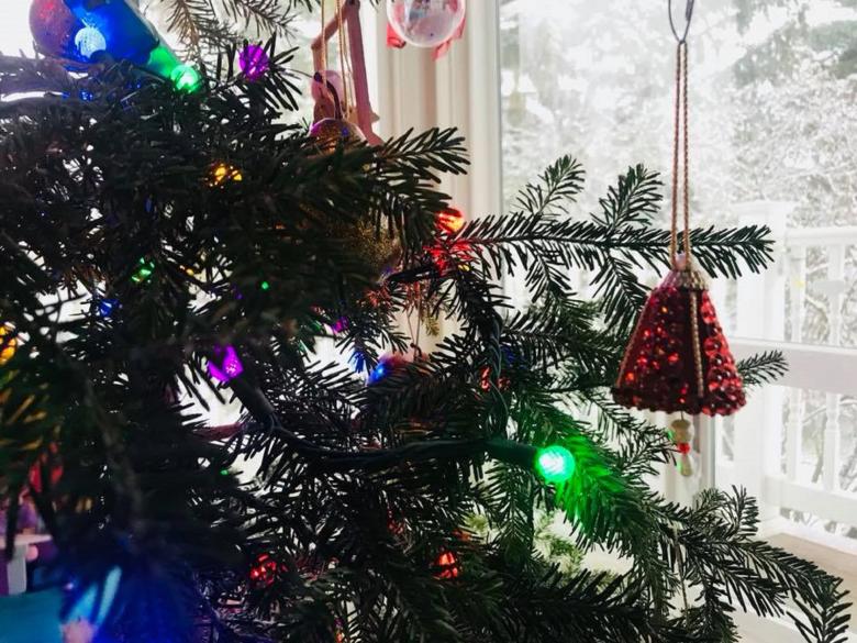 Free stock image of Christmas Tree Lights created by jeremy melugin