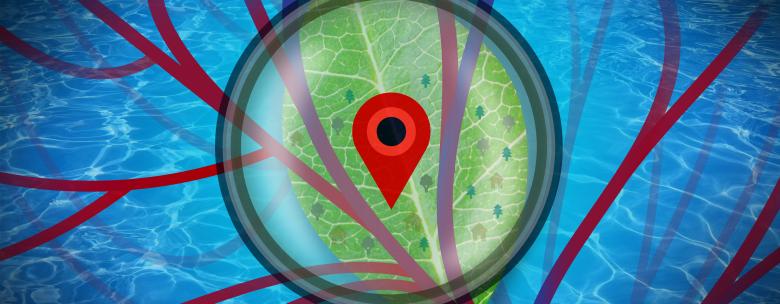 Free stock image of Analysis of Details - Abstract Design created by Jack Moreh