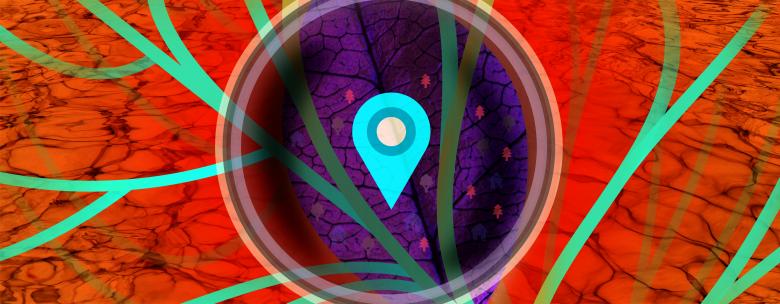 Free stock image of Analysis of Details - Abstract Design created by Jack Moreh