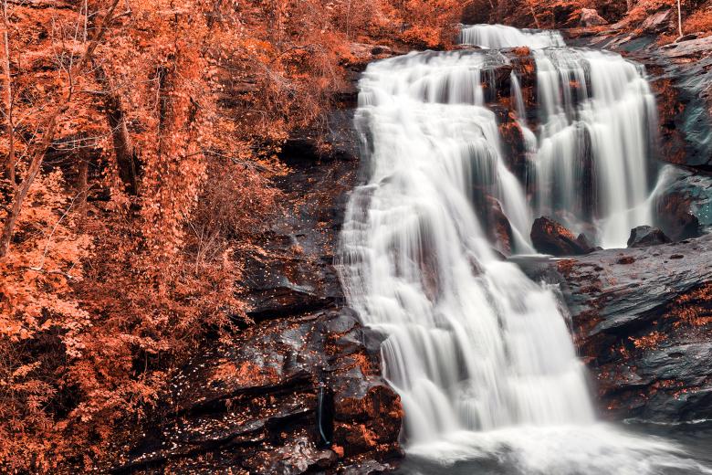 Free stock image of Bald Salmon River Falls created by Nicolas Raymond
