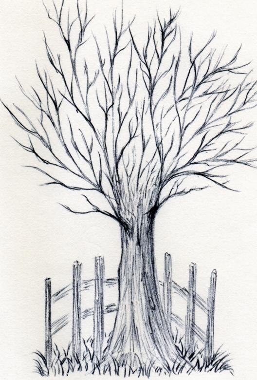 Free stock image of Wife Drew a Tree created by rudy liggett