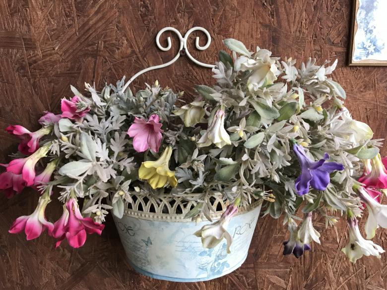 Free stock image of Beautiful Flowers created by Ralph Schmidt