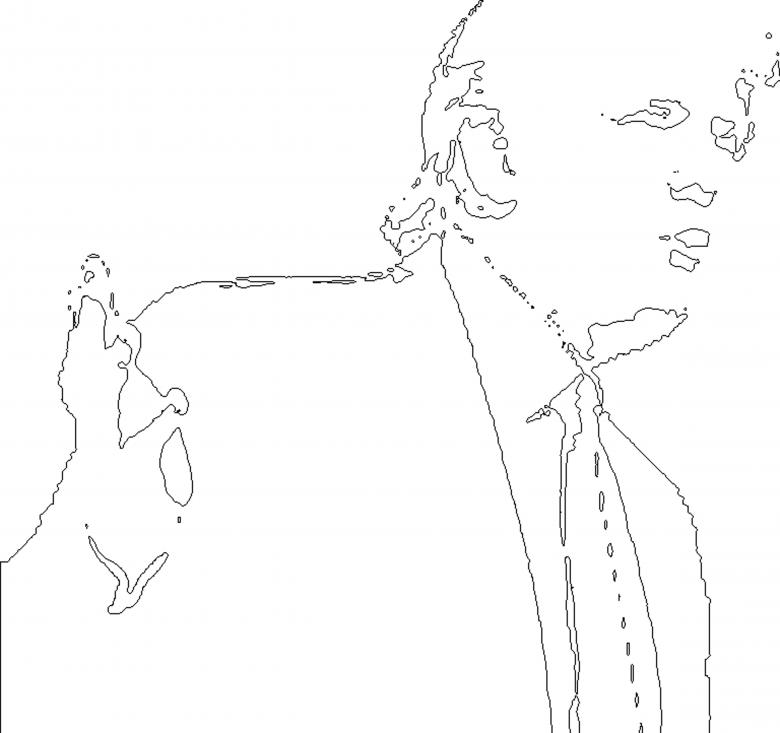 Free stock image of President Trump Wireframe created by rudy liggett