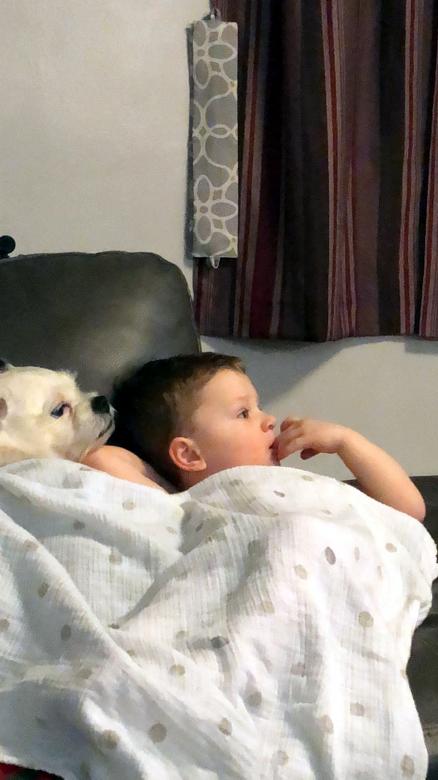 Free stock image of Child watching TV with his dog created by rudy liggett