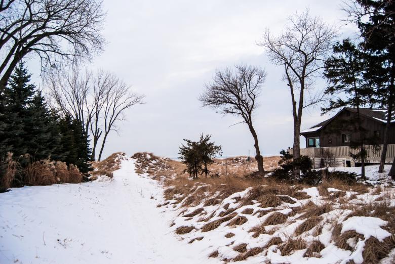 Free stock image of Snow on the Ground created by Steve A Johnson