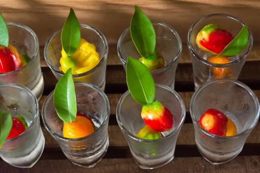 Cocktail Garnish - Free Stock Photo