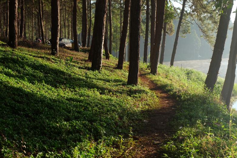 Free stock image of Natural Landspace created by Batu Berk